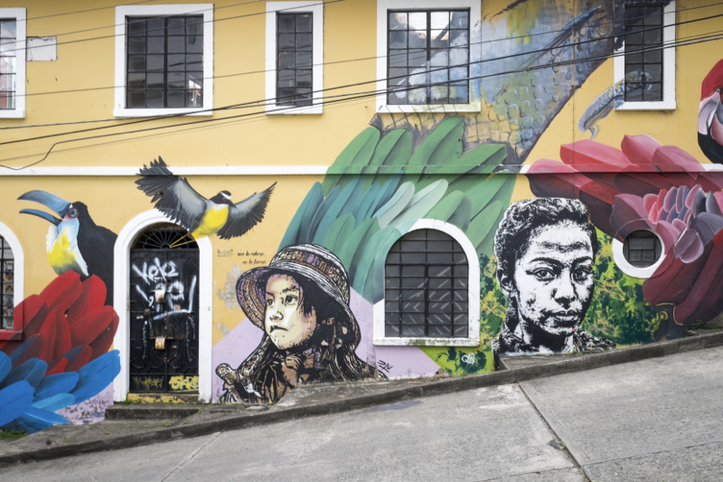 La calles de Cali son decoradas con el arte de muralistas locales