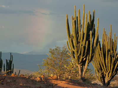 Camp in the Tatacoa Desert and enjoy its wonderful views