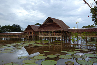 The Colombian Amazon