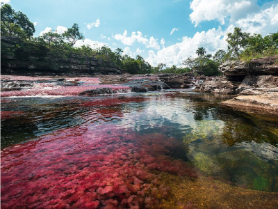no dejes de ir a caño cristales Imagen de caño cristales en el meta