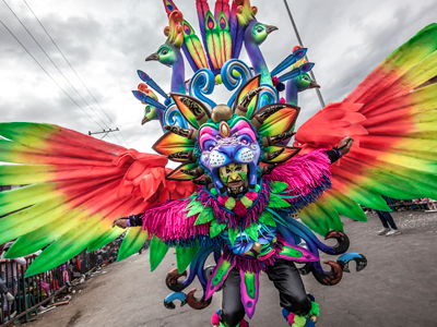 Carnavaldengrosyblancos