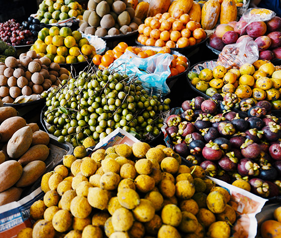 diferentes grupos e vegetais agrupados