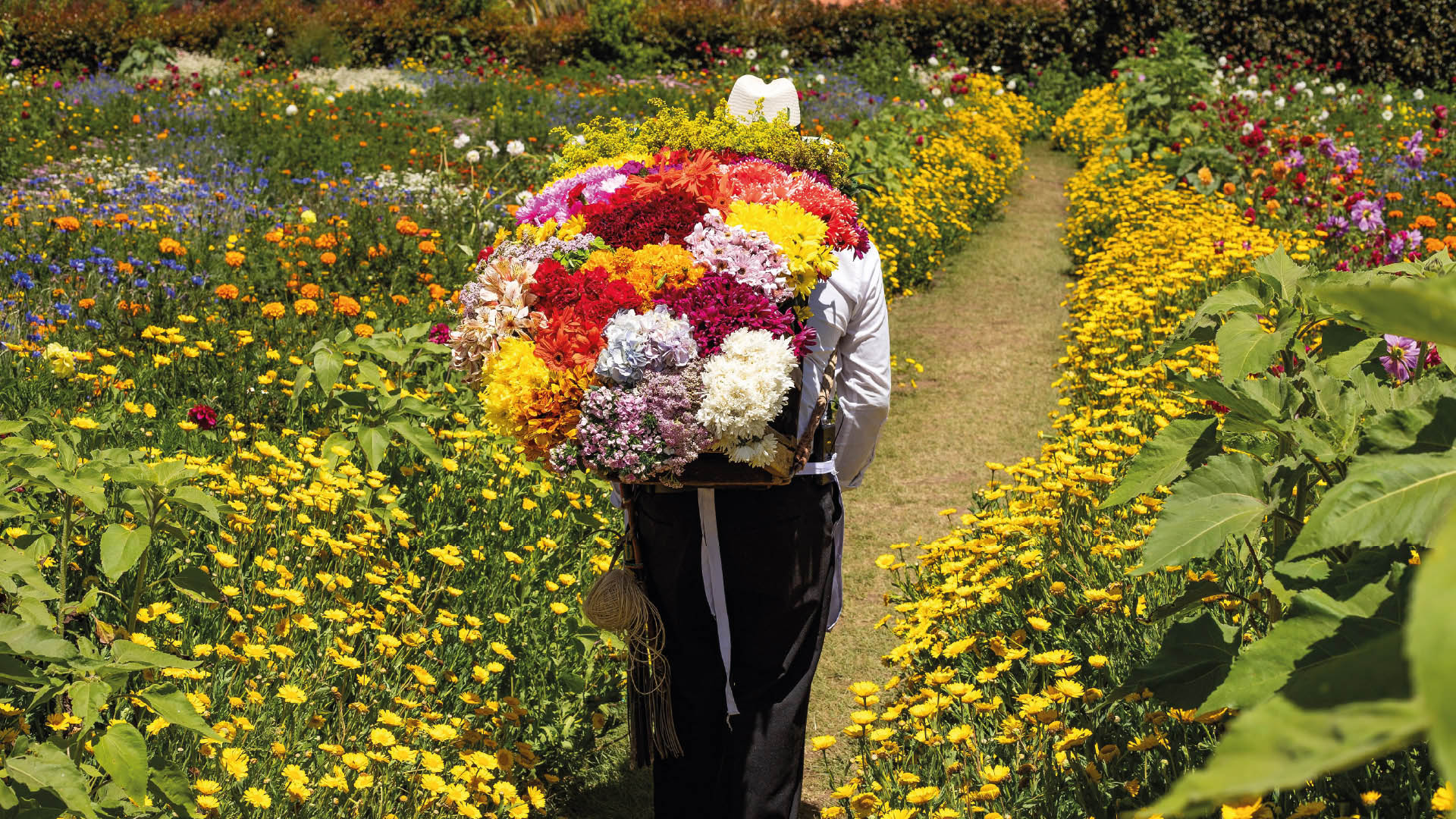 Homme portant des fleurs pour l’exportation de fleurs colombiennes