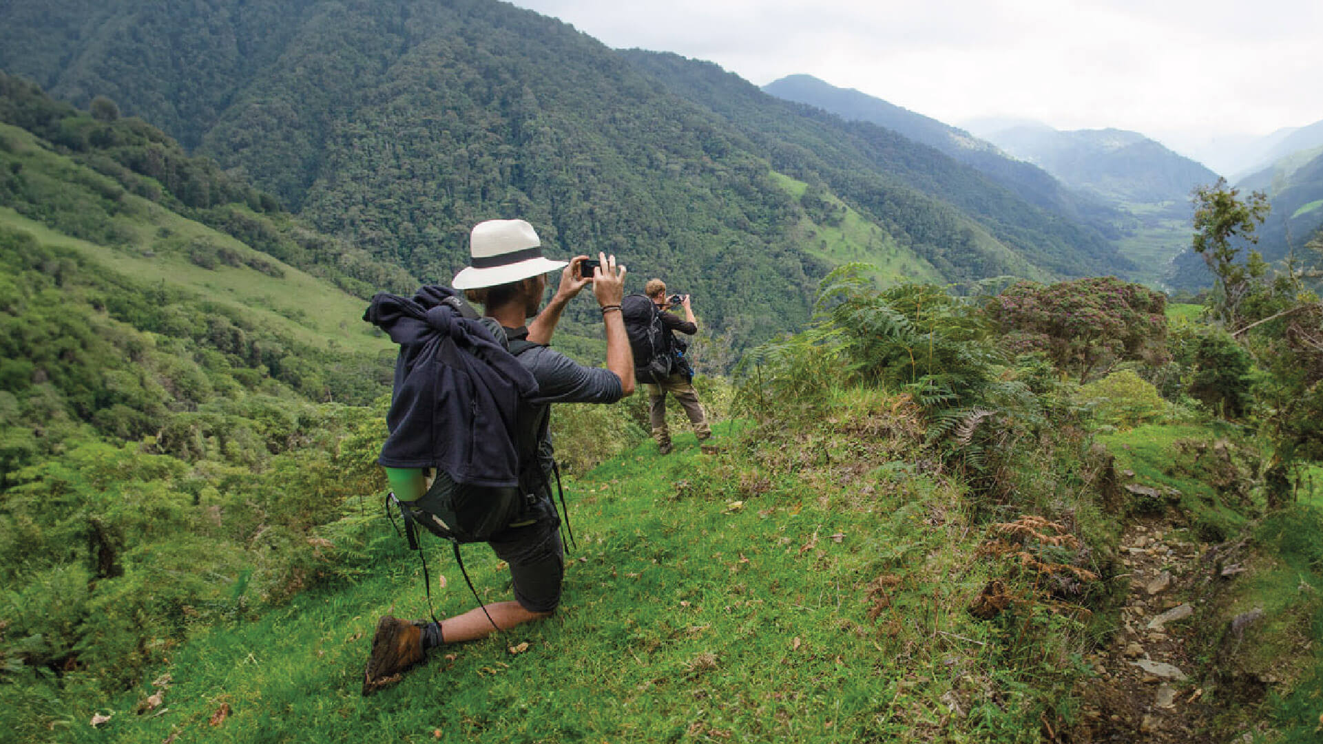 Expedition to the wax palm forests, Colombia.