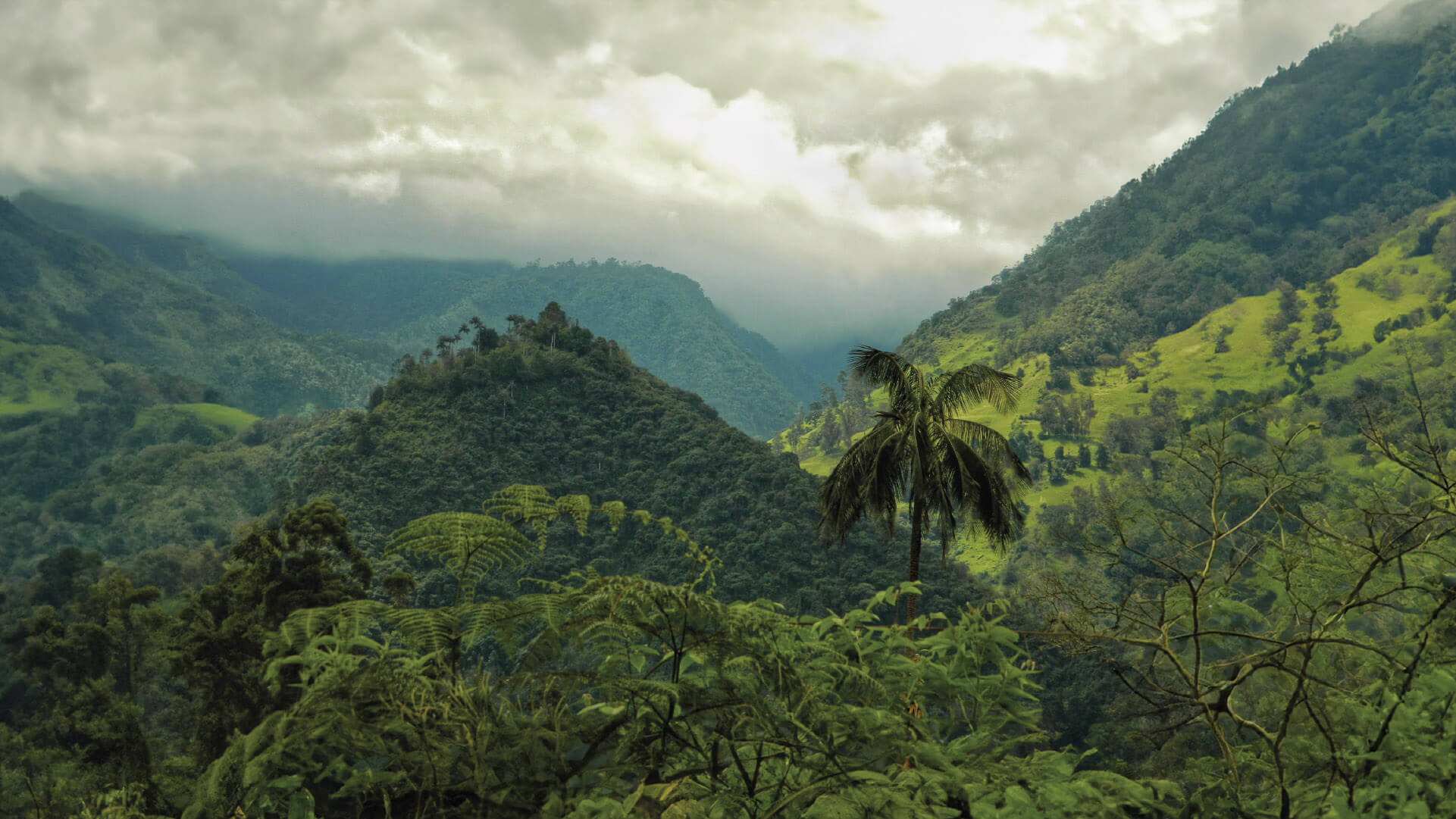 Combeima Canyon, Tolima, Colombia.  
