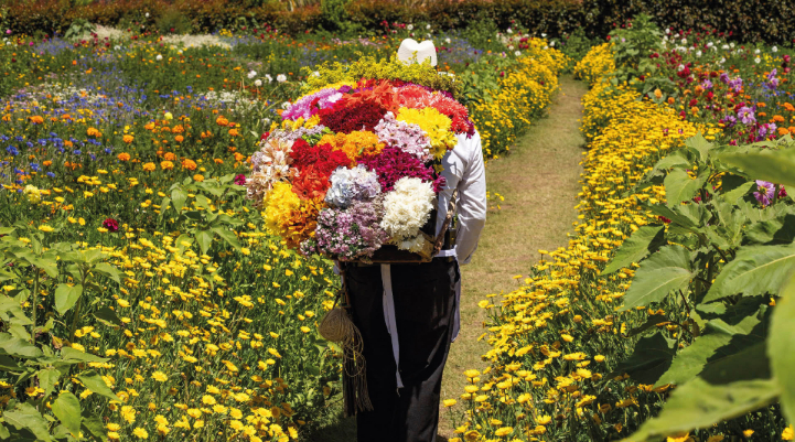 Homme portant des fleurs pour l'exportation de fleurs colombiennes