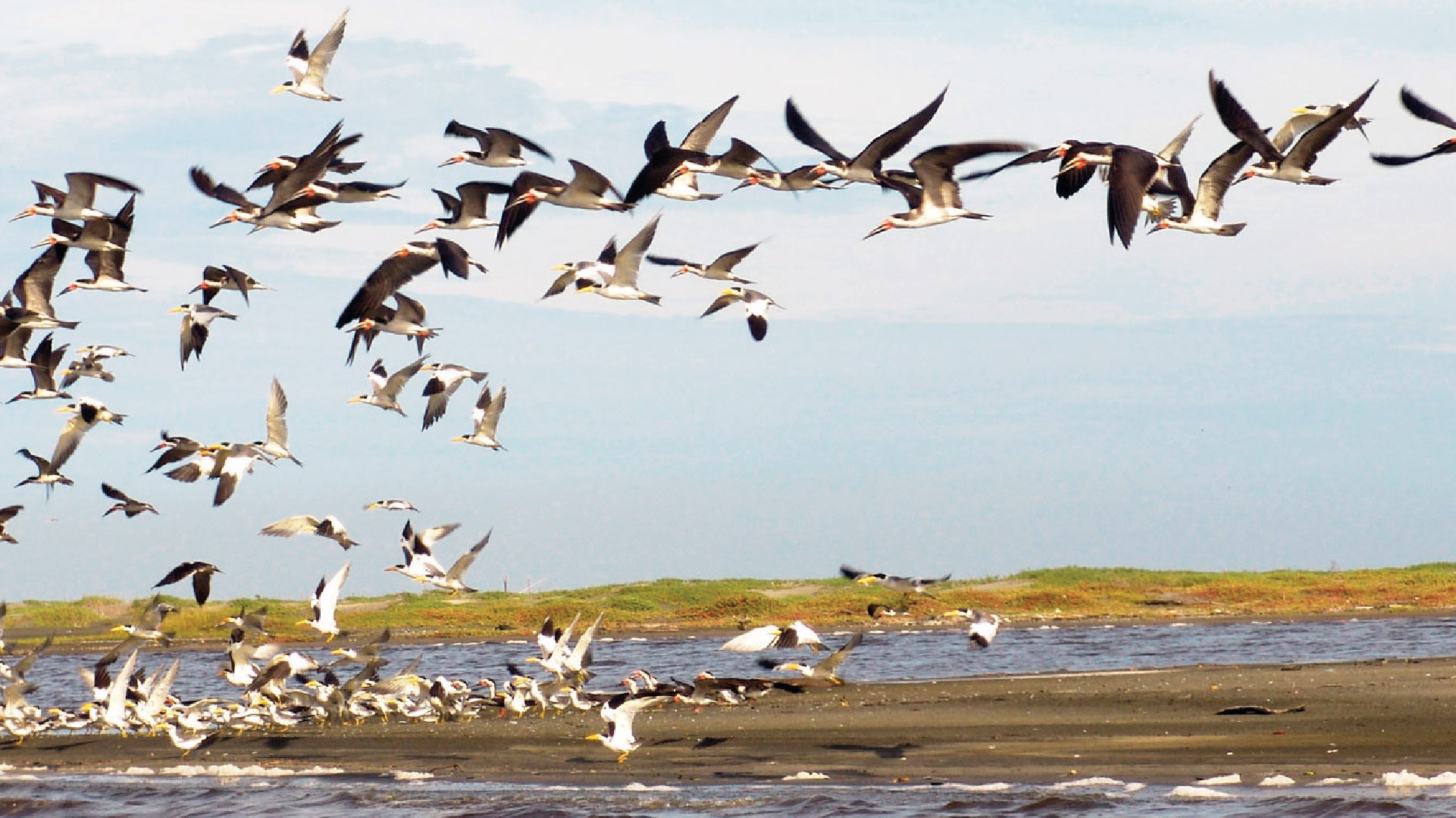 Vía Parque Isla de Salamanca, Magdalena, Colombia.