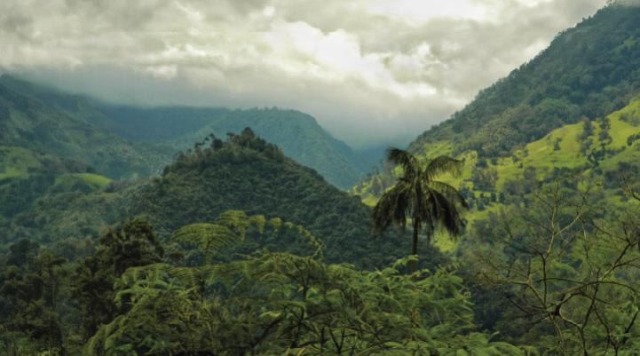 Combeima Canyon, Tolima, Colombia.
