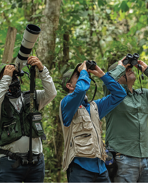 Birdwatching in Colombia.