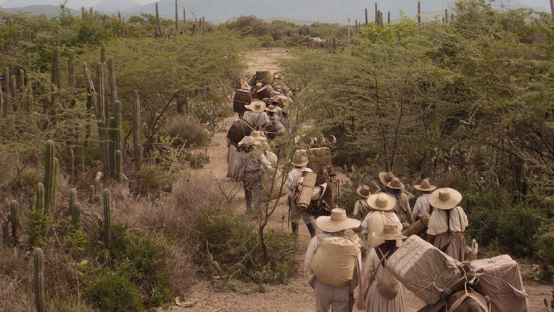 Caravan of people walking along a trail in an arid landscape with cactus and bushes.