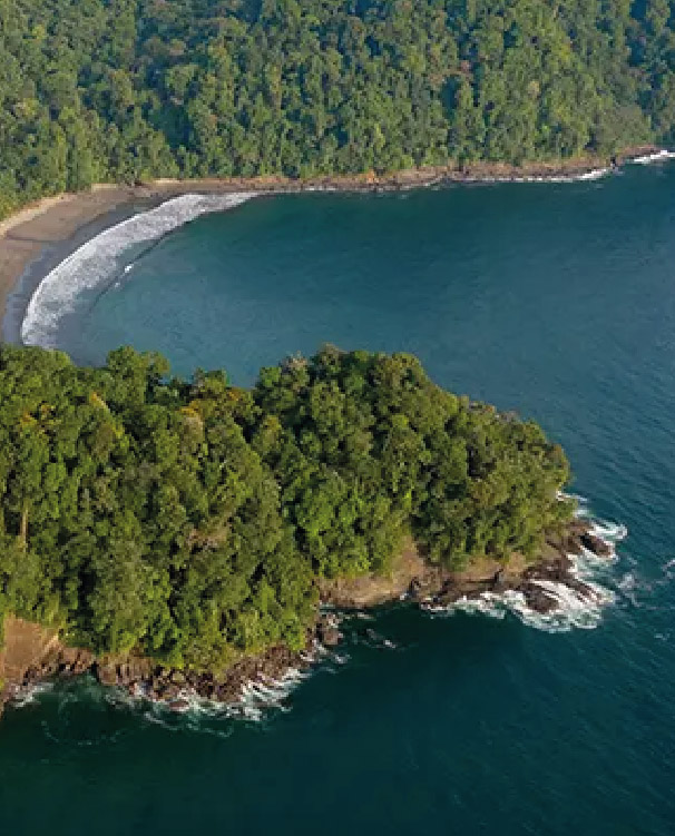 Gulf of Tribugá near Nuquí, Chocó, Colombia.