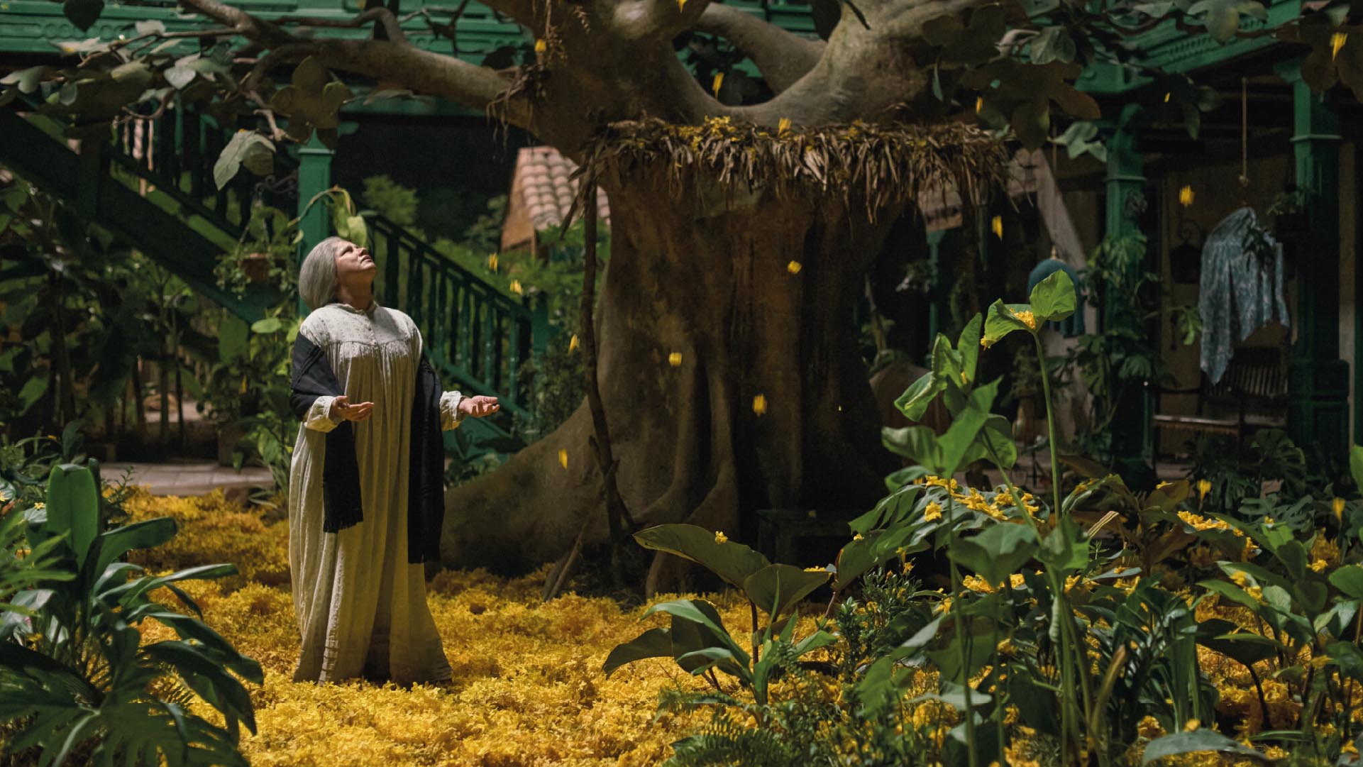 White-haired woman under a tree with yellow flowers.