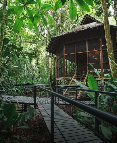Ecological cabin in the middle of the jungle with wooden walkway at La Manigua Lodge