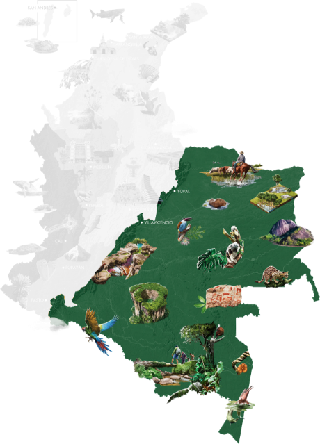 Map of Colombia with the Orinoquía and Amazon region highlighted in green, including Villavicencio, Yopal, jungles, exotic fauna such as macaws and pink dolphins, and Indigenous cultures.