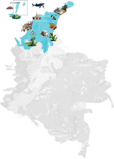 Map of Colombia with the Caribbean region highlighted in blue, featuring representative elements such as the Caribbean Sea, whales, Cartagena, Santa Marta, beaches, tropical flora, and the San Andrés and Providencia archipelago.