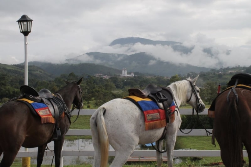Some horses rest on their equestrian tourism route through Colombia | Colombia Travel