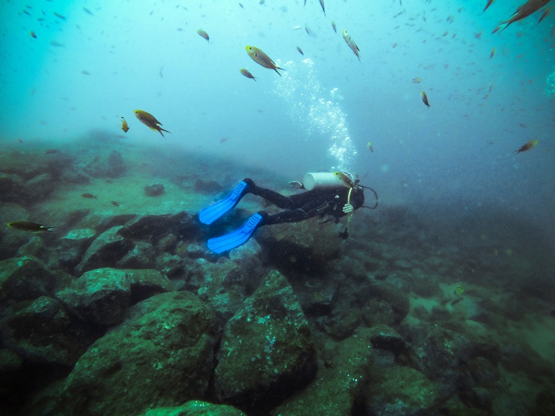 A man diving in the deep waters of Gorgona island.