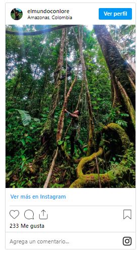 Amazonas