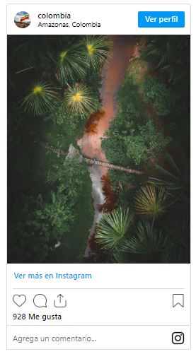 Amazonas