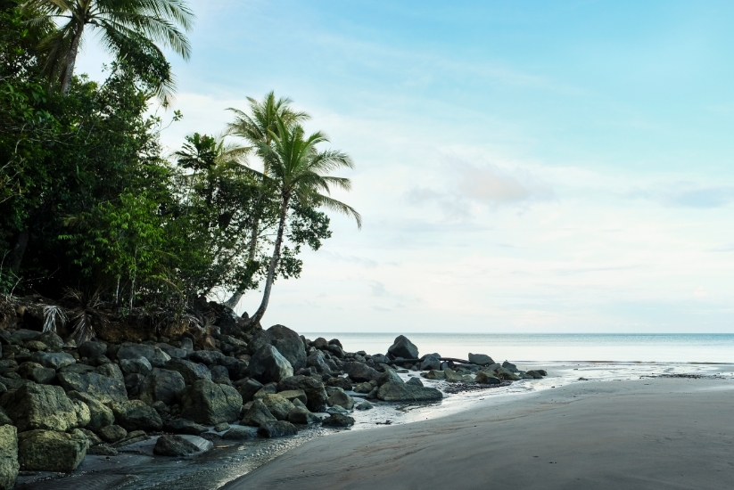 An island where nature