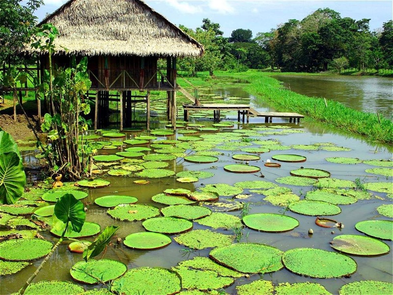 Aventure dans l'Amazonie colombienne.