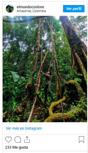 Amazonas