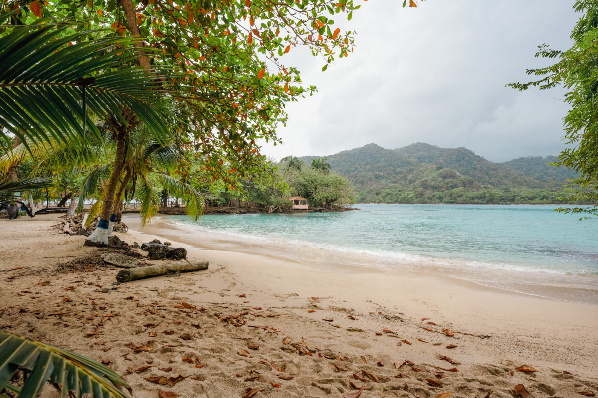 Capurganáビーチ、Chocó