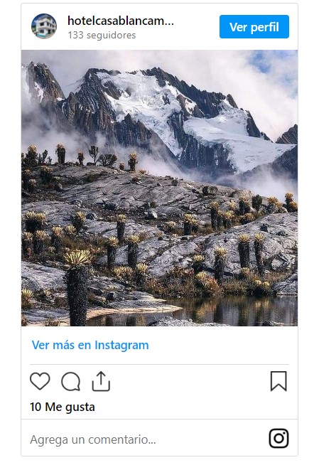 Cocuy 1