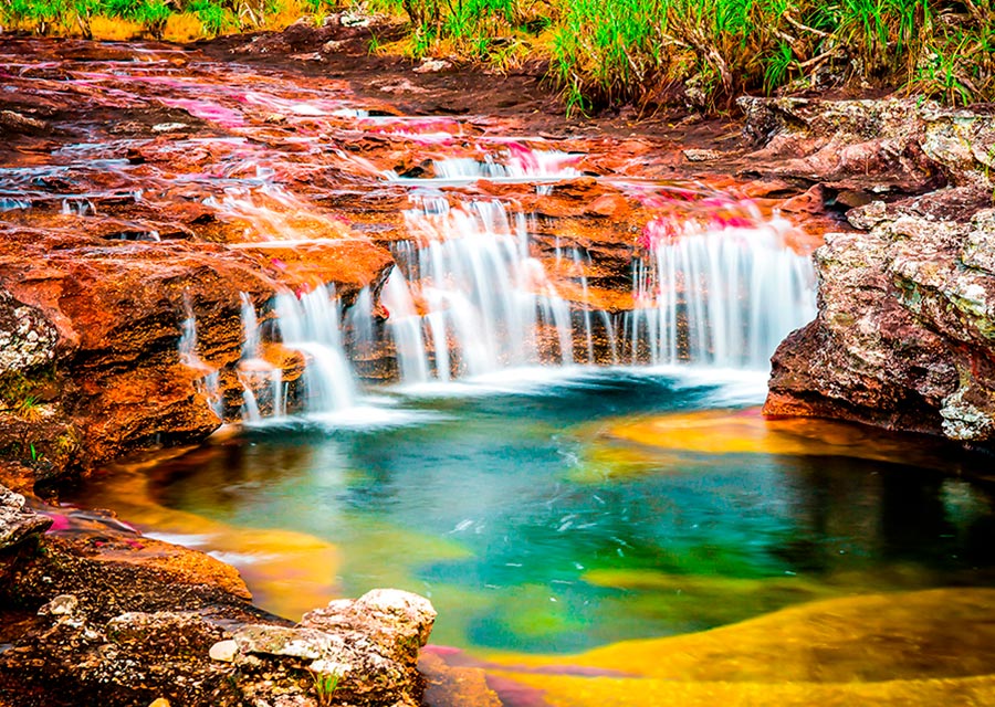 Caño Cristales ist ein Naturwunder, einer der schönsten Flüsse der Welt.