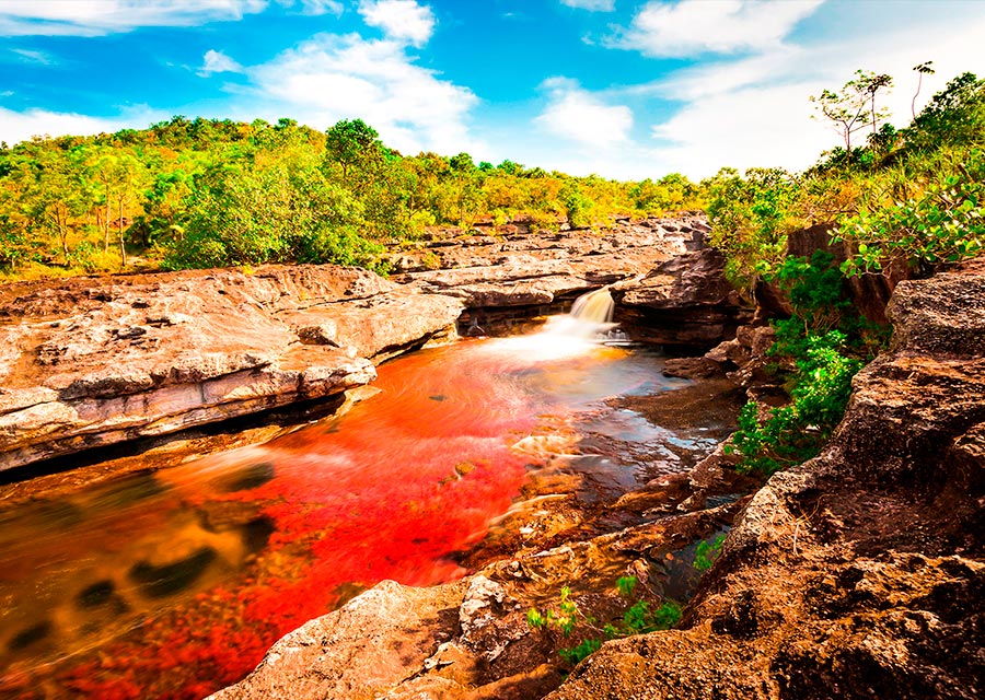 Der wunderbare Fluss der fünf Farben, Caño Cristales.