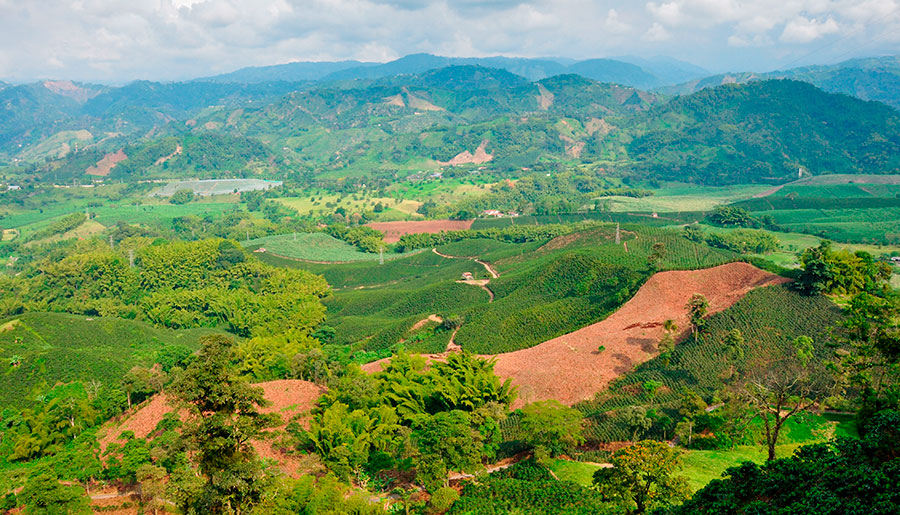 Paisaje cultural cafetero