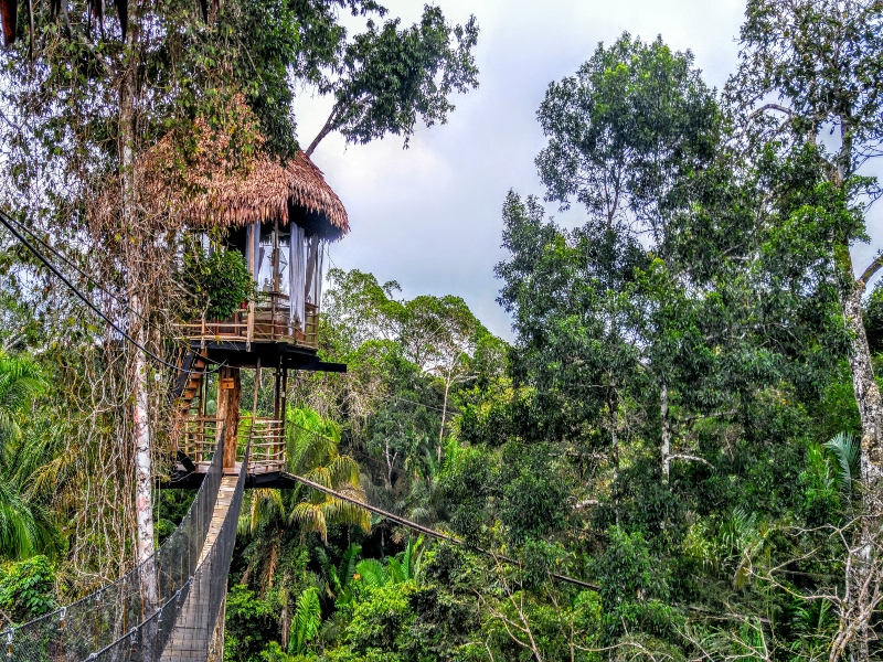 Fotografía de una casa en el árbol en medio de la naturaleza, una experiencia única que solo brindan los hoteles en Colombia.