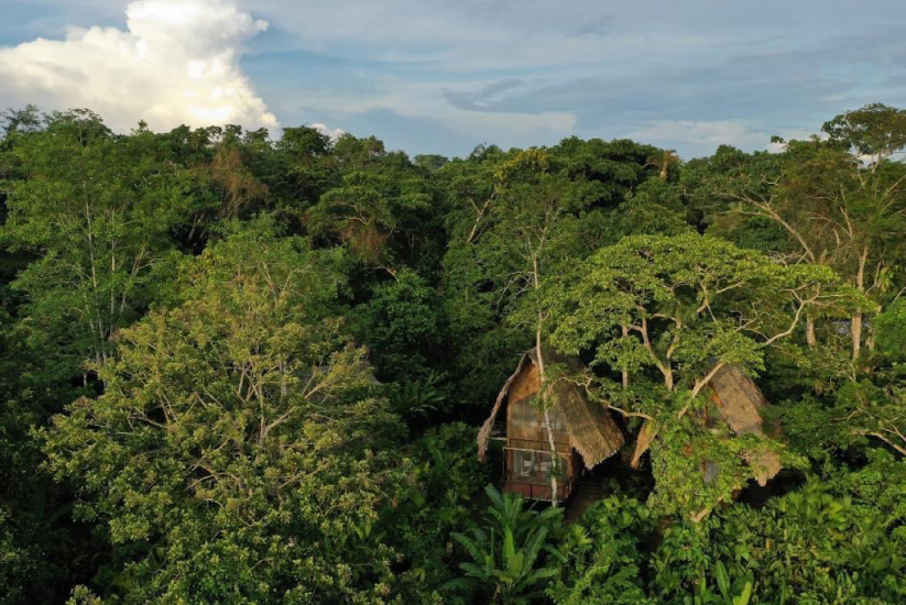 Ecolodge Calanoa. Amazonas, Colombia