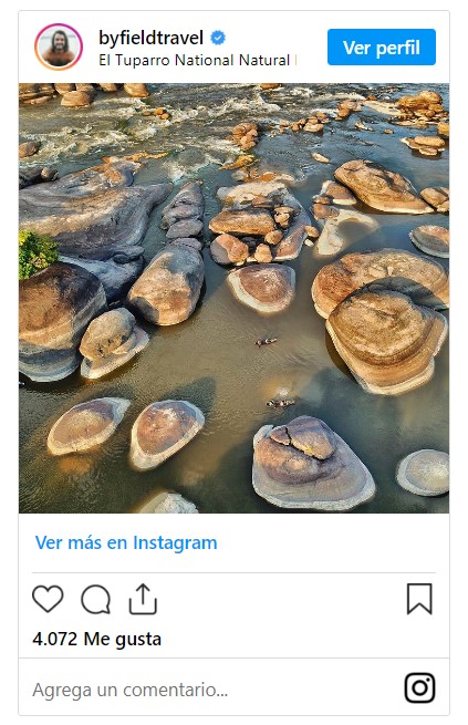 Guainia