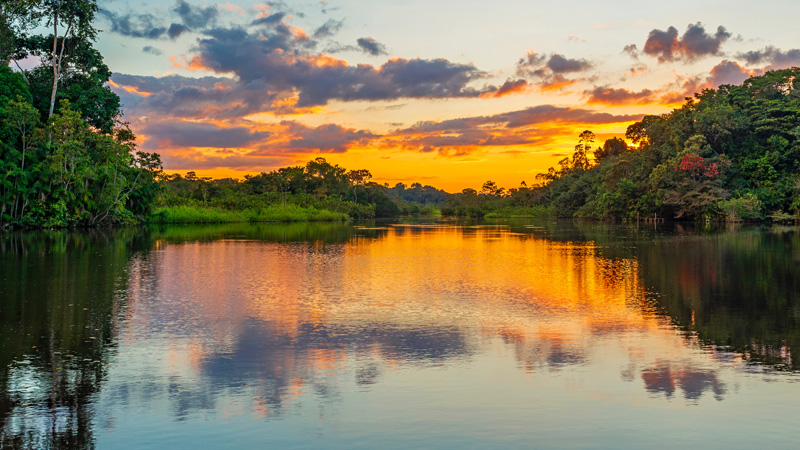 : The Colombian Amazon rainforest is one of the most stunning ecosystems in the most welcoming place on Earth