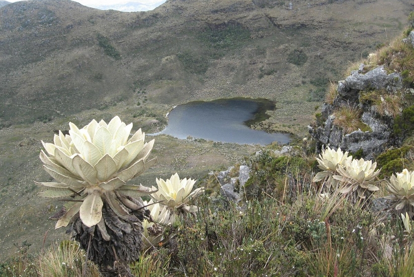 Laguna de Iguaque