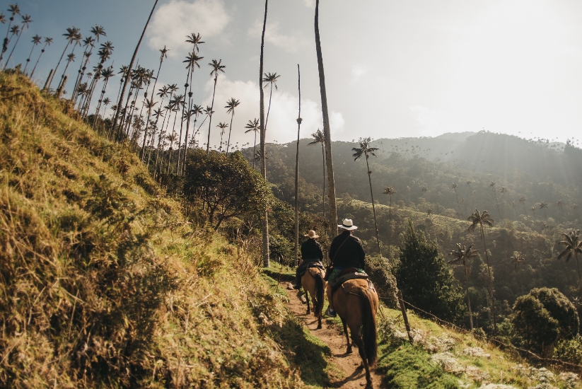 Vallée de Cocora