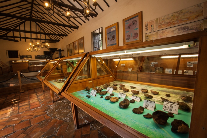 Museo Paleontológico