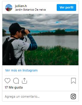 Neiva