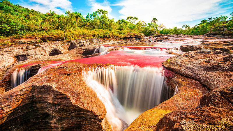 Fall in love with Caño Cristales, "the river of five colors", Sierra de la Macarena National Natural Park