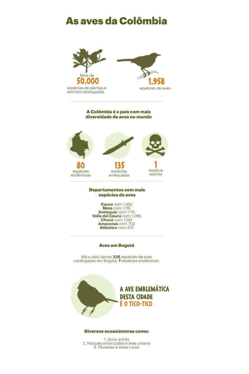 Observação de aves.