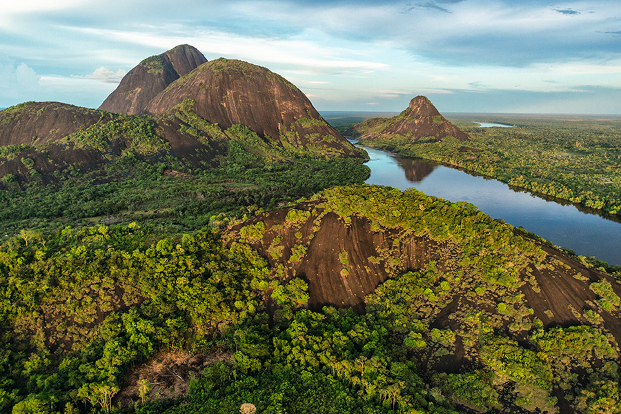 Colombia's jungles boast a great variety of bird species perfect for birdwatching enthusiasts