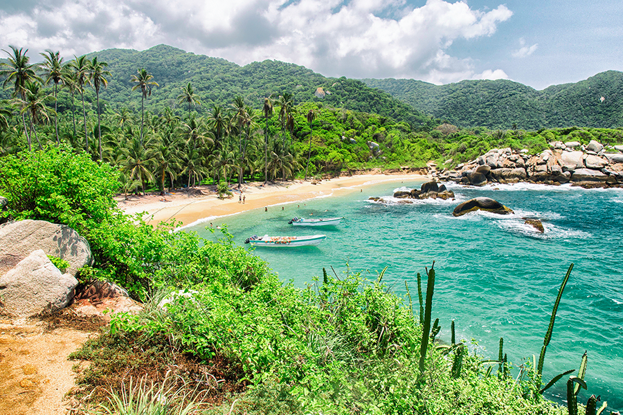Coastal landscapes also offer great opportunities for birdwatching in ColombiaBeach landscapes also offer great opportunities for birdwatching in Colombia