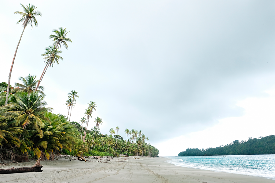 Las playas del Pacífico colombiano son lugares perfectos para disfrutar experiencias de naturaleza y aventura.