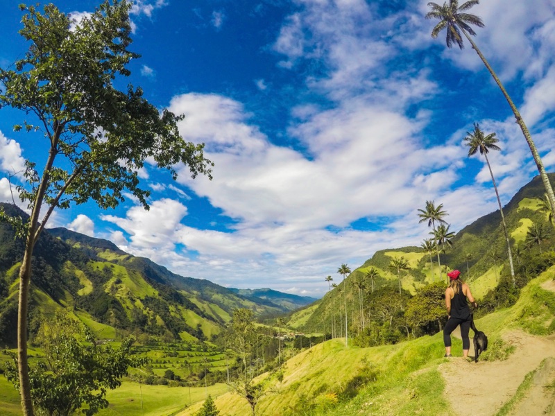 Panoramic views of the Cocora Valley, one of the most beautiful destinations in Colombia.