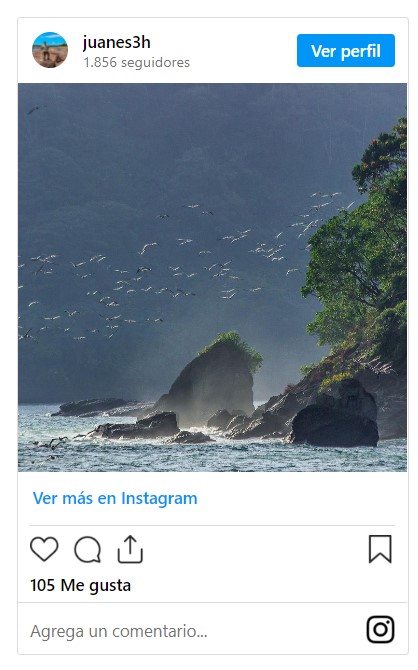 Parque Natural Gorgona