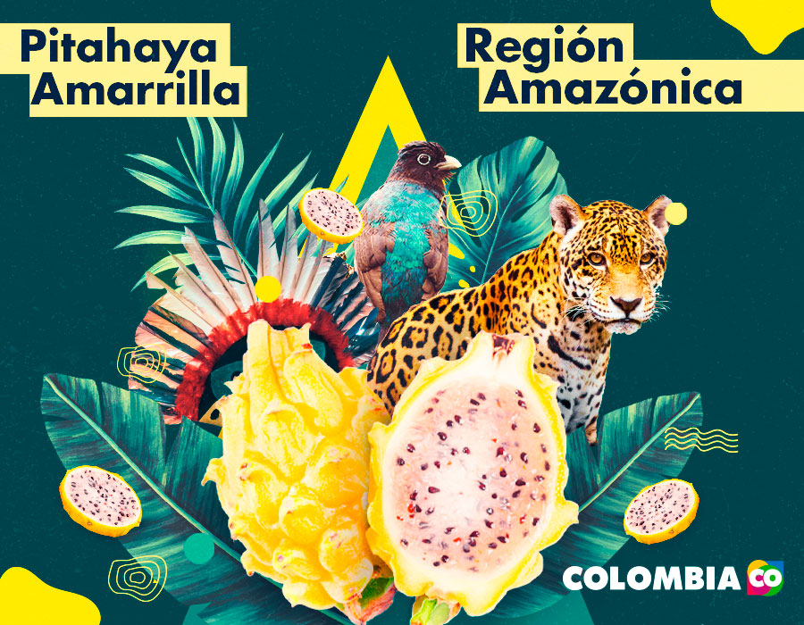 Amazonian elements such as the jaguar and pitahaya. The latter is one of the region's tropical fruits.