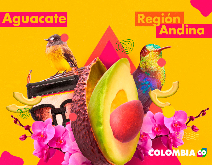 Orchids, a carriel and avocado. The latter is one of Colombia's tropical fruits.