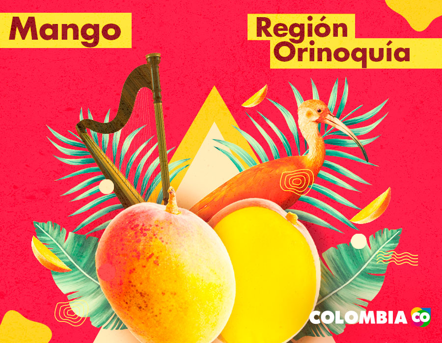 Mango is one of the tropical fruits of the Andean Region. Another element of the region is the harp.