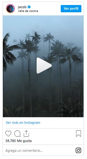 Valle del Cocora